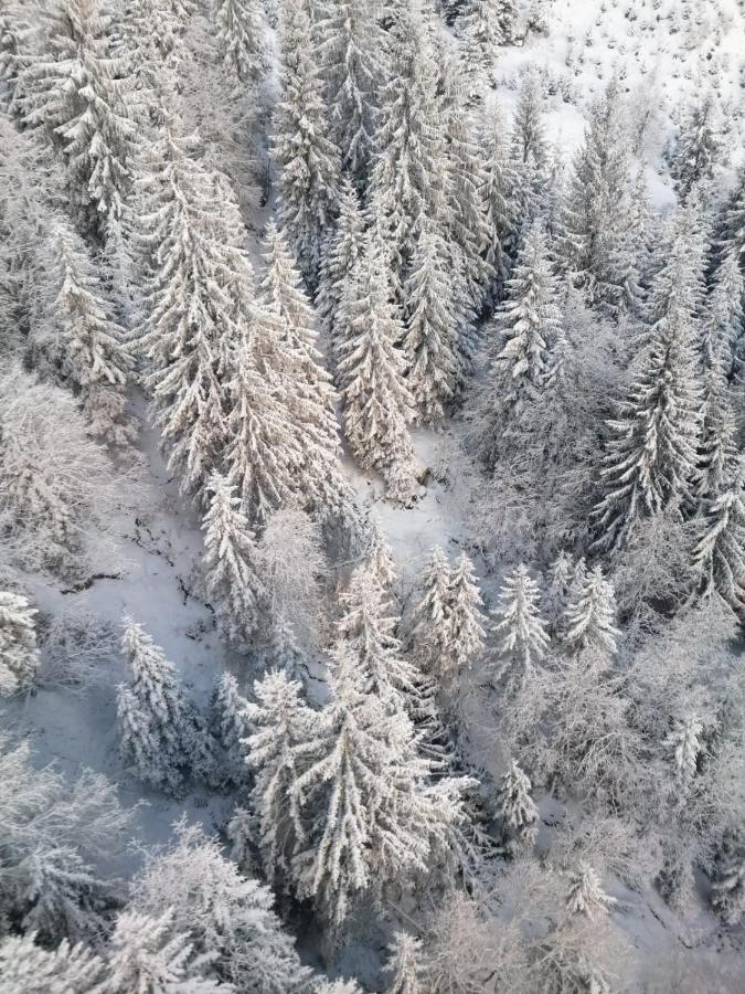 شقة Montepart Zillertal هينزنبرغ المظهر الخارجي الصورة